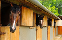 free Castlewellan stable construction quotes